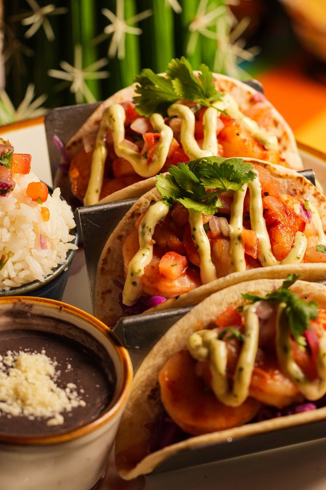 Tacos at Coyote Taquería in Miami Beach, Florida